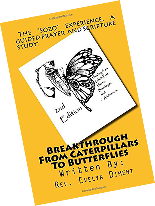 Lively Hope Ministries - Breakthru Book